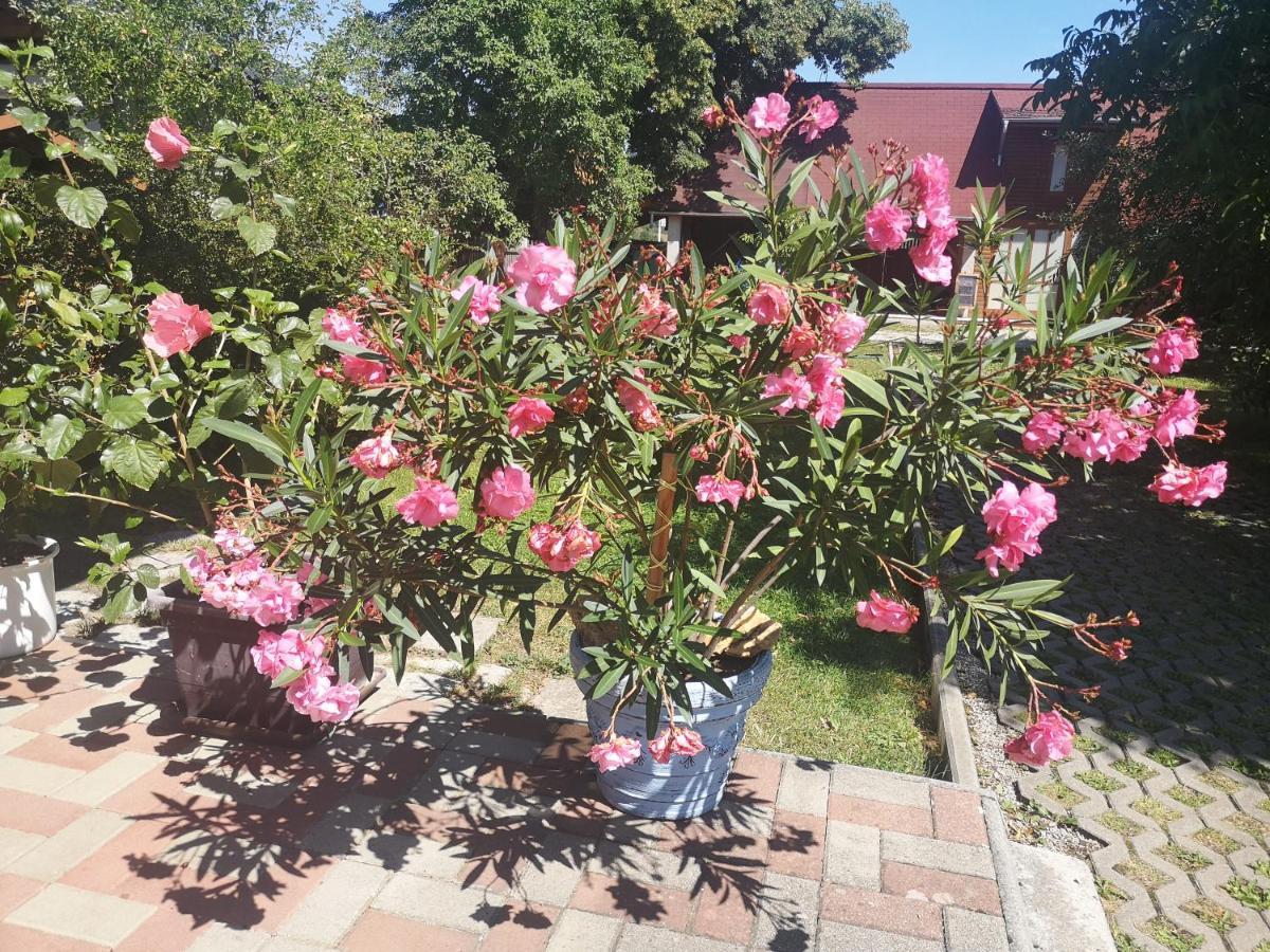 Vcielka Apartamento Bešeňová Exterior foto